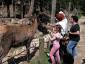 20090523T144331.jpg