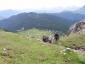 20090613T120544.jpg
