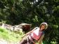20090613T151804.jpg