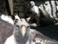 20090718T165609.jpg