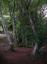 20090725T100543.jpg