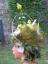 20090822T190141.JPG