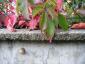 20091007T083749.jpg
