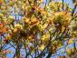 20110409T115924.JPG