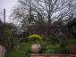 20110327T095835.JPG