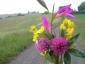 20110427T104510.JPG