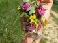 20110427T141133.JPG