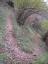 20111113_SANY0003.JPG
