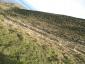 20111113_SANY0021.JPG