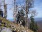 20111113_SANY0049.JPG