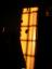 20111119_SANY0001.JPG