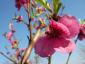 20120401T172059.JPG