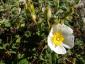 20120417T130438.JPG