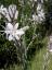 20120419T152504.JPG