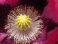 20120527T141104.JPG