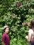 20120527T152902.JPG