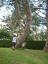 20120708T141300_18.jpg