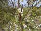 20140304T140734.JPG