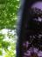 20140622T142414.JPG