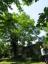 20140622T143538.JPG