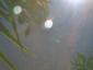 20140630T115610.JPG