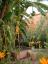 dscf0017.jpg