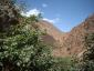 dscf0029.jpg