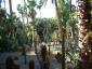 dscf0033.jpg