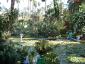 dscf0035.jpg
